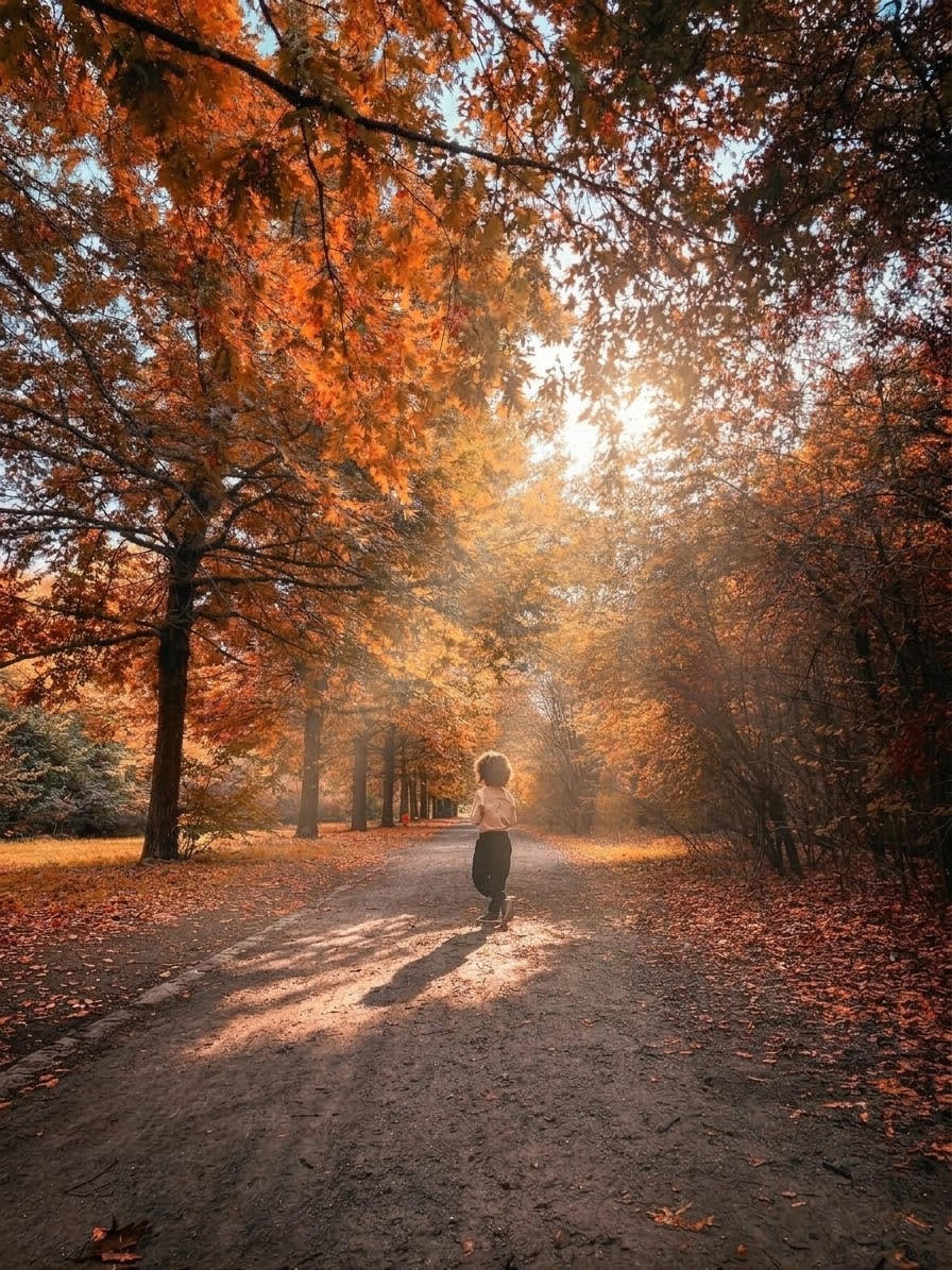 Un bambino cammina in un viale di alberi autunnali